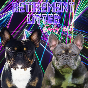Two French Bulldogs with neon background