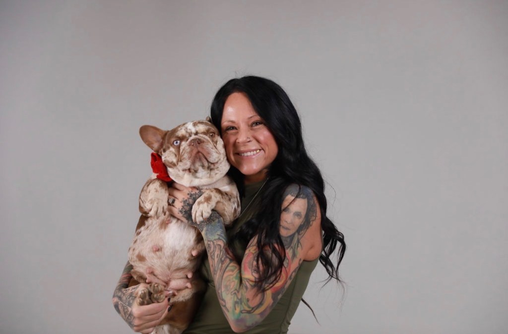 merle French bulldog